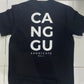 Canggu shortcuts Tee (oversized)